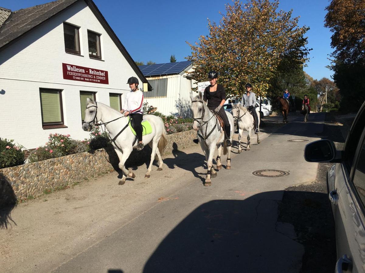 ホテル Reiterhof Wollesen Süderlügum エクステリア 写真