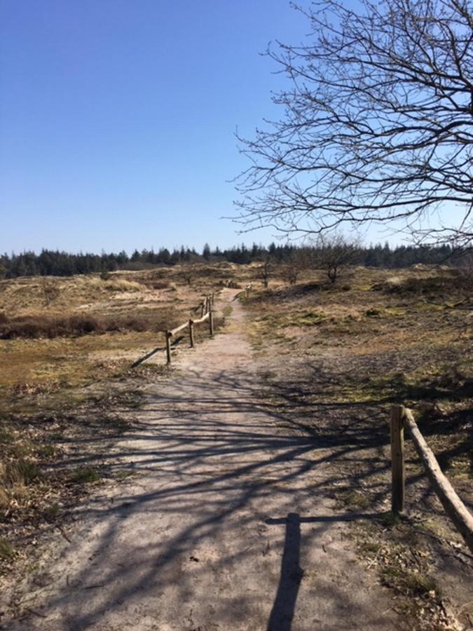 ホテル Reiterhof Wollesen Süderlügum エクステリア 写真